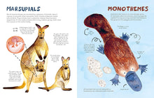 Load image into Gallery viewer, Mama Mammals : Reproduction and Birth in Mammals