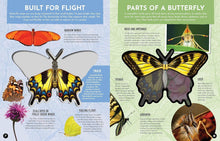 Load image into Gallery viewer, Inside Out Butterfly : Discover Nature's Most Amazing Transformation