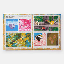 Load image into Gallery viewer, What a Shell Can Tell