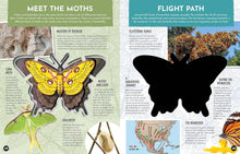 Load image into Gallery viewer, Inside Out Butterfly : Discover Nature's Most Amazing Transformation