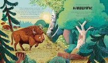 Load image into Gallery viewer, The Bison and the Butterfly : An ecosystem story