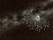 Load image into Gallery viewer, Amazing Jellyfish : Mysterious Dweller of the Deep