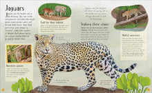 Load image into Gallery viewer, Life in the Wild : Observing the Mysterious Lives of 10 Real Animals