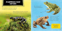 Load image into Gallery viewer, In the Animal Kingdom: Amphibians Live on Land and in Water

