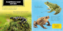 Load image into Gallery viewer, In the Animal Kingdom: Amphibians Live on Land and in Water