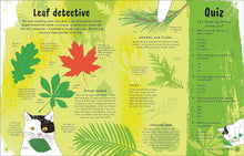 Load image into Gallery viewer, The Magic of Forests