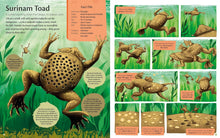 Load image into Gallery viewer, Curious Features Of Extraordinary Creatures