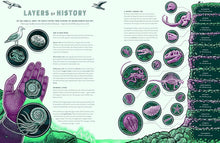 Load image into Gallery viewer, Bang : The wild wonders of Earth’s phenomena