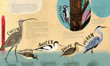 Load image into Gallery viewer, A Wild Child's Book of Birds