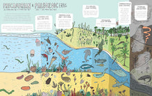 Load image into Gallery viewer, Stones and Bones and the Stories They Tell