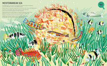 Load image into Gallery viewer, Majestic Oceans : Discover the World Beneath the Waves