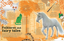 Load image into Gallery viewer, The Magic of Forests