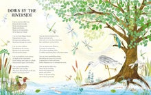 Load image into Gallery viewer, My Heart was a Tree