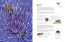 Load image into Gallery viewer, The Observologist