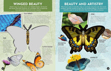 Load image into Gallery viewer, Inside Out Butterfly : Discover Nature's Most Amazing Transformation