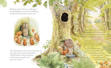 Load image into Gallery viewer, The Tale of Squirrel Nutkin Picture Book