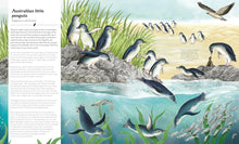 Load image into Gallery viewer, Small World : Meet 30 of Earth’s tiniest inhabitants