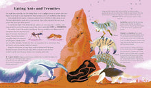 Load image into Gallery viewer, Awesome Animal Evolution