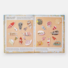 Load image into Gallery viewer, What a Shell Can Tell