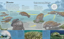 Load image into Gallery viewer, Water Cycles