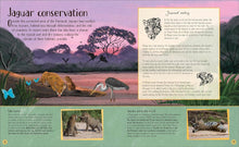 Load image into Gallery viewer, Life in the Wild : Observing the Mysterious Lives of 10 Real Animals