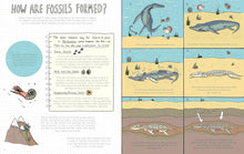 Load image into Gallery viewer, Stones and Bones and the Stories They Tell