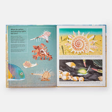 Load image into Gallery viewer, What a Shell Can Tell