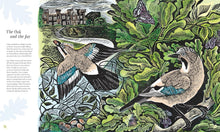 Load image into Gallery viewer, Wilding: How to Bring Wildlife Back - An Illustrated Guide