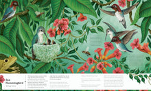 Load image into Gallery viewer, Small World : Meet 30 of Earth’s tiniest inhabitants