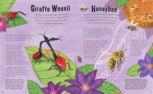 Load image into Gallery viewer, Don't Squish a Slug