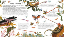 Load image into Gallery viewer, Awesome Animal Evolution