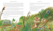 Load image into Gallery viewer, Rewild the World at Bedtime