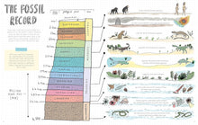 Load image into Gallery viewer, Stones and Bones and the Stories They Tell