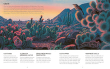 Load image into Gallery viewer, Grand Canyon