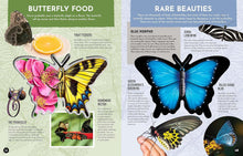 Load image into Gallery viewer, Inside Out Butterfly : Discover Nature's Most Amazing Transformation
