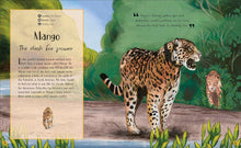 Load image into Gallery viewer, Life in the Wild : Observing the Mysterious Lives of 10 Real Animals