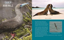 Load image into Gallery viewer, One Iguana, Two Iguanas