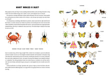 Load image into Gallery viewer, Bugs: A Skittery, Jittery History