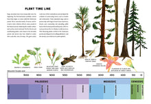 Load image into Gallery viewer, Bugs: A Skittery, Jittery History