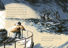 Load image into Gallery viewer, The Puffin Keeper