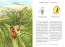 Load image into Gallery viewer, Insectopia