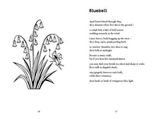 Load image into Gallery viewer, Adder, Bluebell, Lobster Wild Poems