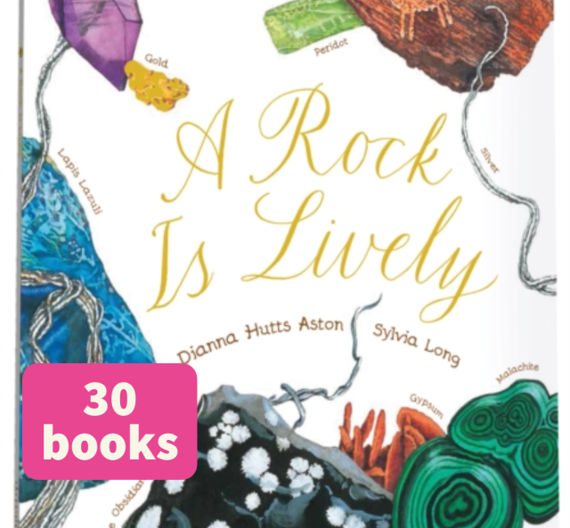 A Rock is Lively (30)