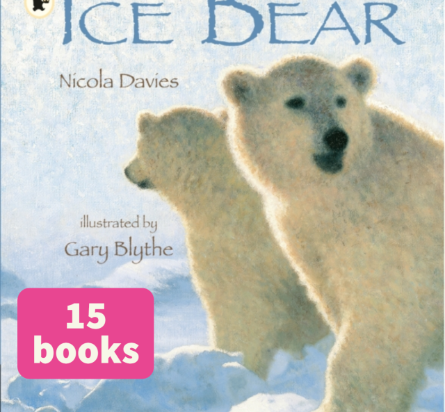 Ice Bear (15)