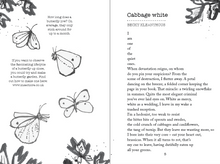 Load image into Gallery viewer, The Bee is Not Afraid of Me