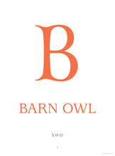 Load image into Gallery viewer, Apes to Zebras: An A-Z of Shape Poems