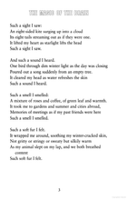 Load image into Gallery viewer, Sensational