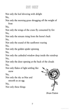 Load image into Gallery viewer, Sensational