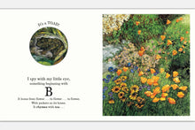 Load image into Gallery viewer, Eye Spy