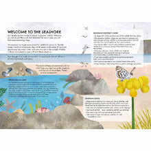 Load image into Gallery viewer, RSPB Nature Guide: Seashore